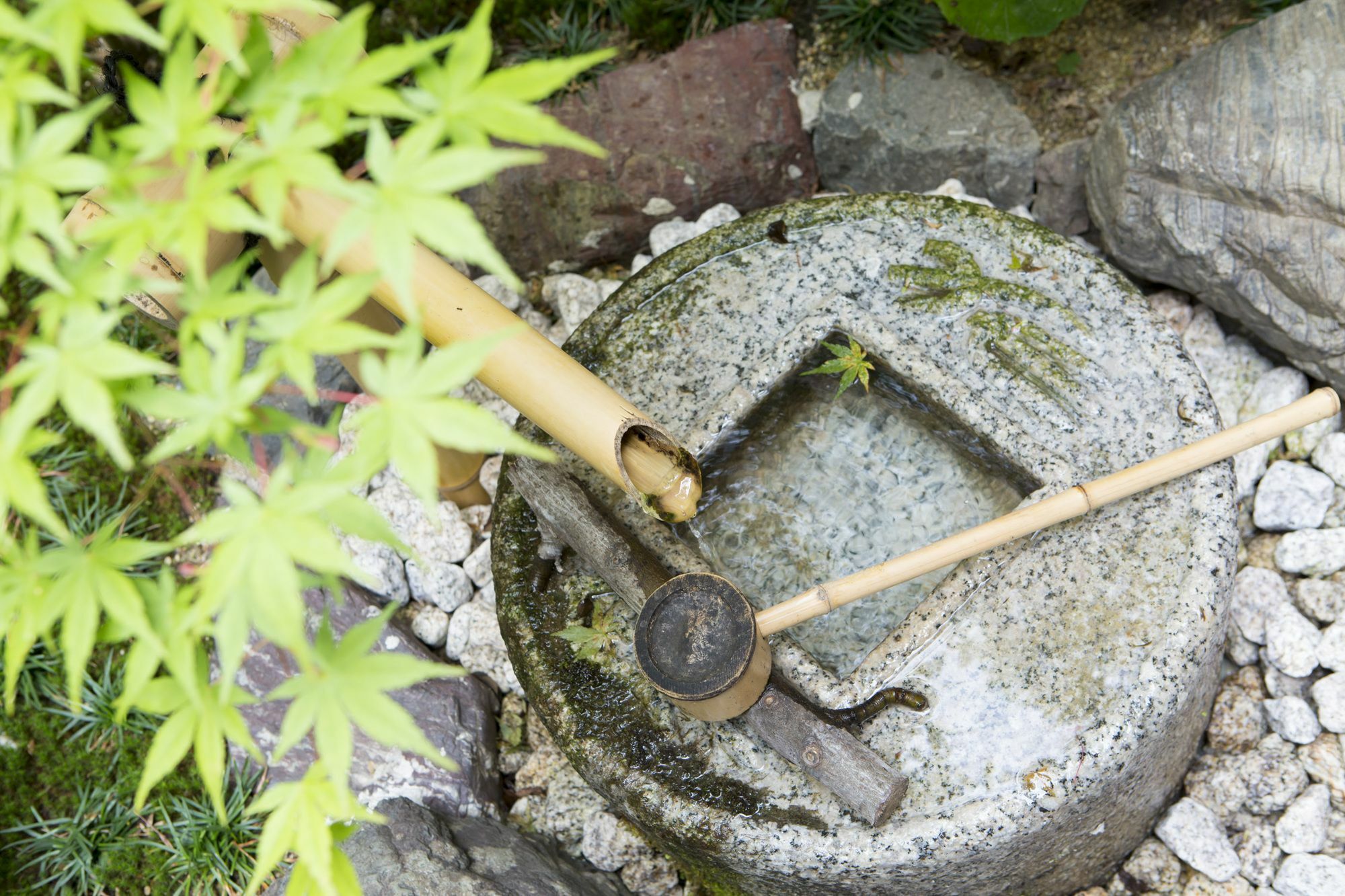 Kikue Hotel Kyoto Dış mekan fotoğraf